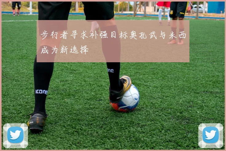 步行者寻求补强目标奥孔武与米西成为新选择