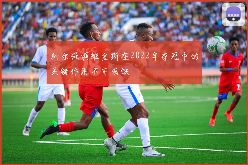 科尔强调维金斯在2022年夺冠中的关键作用不可或缺